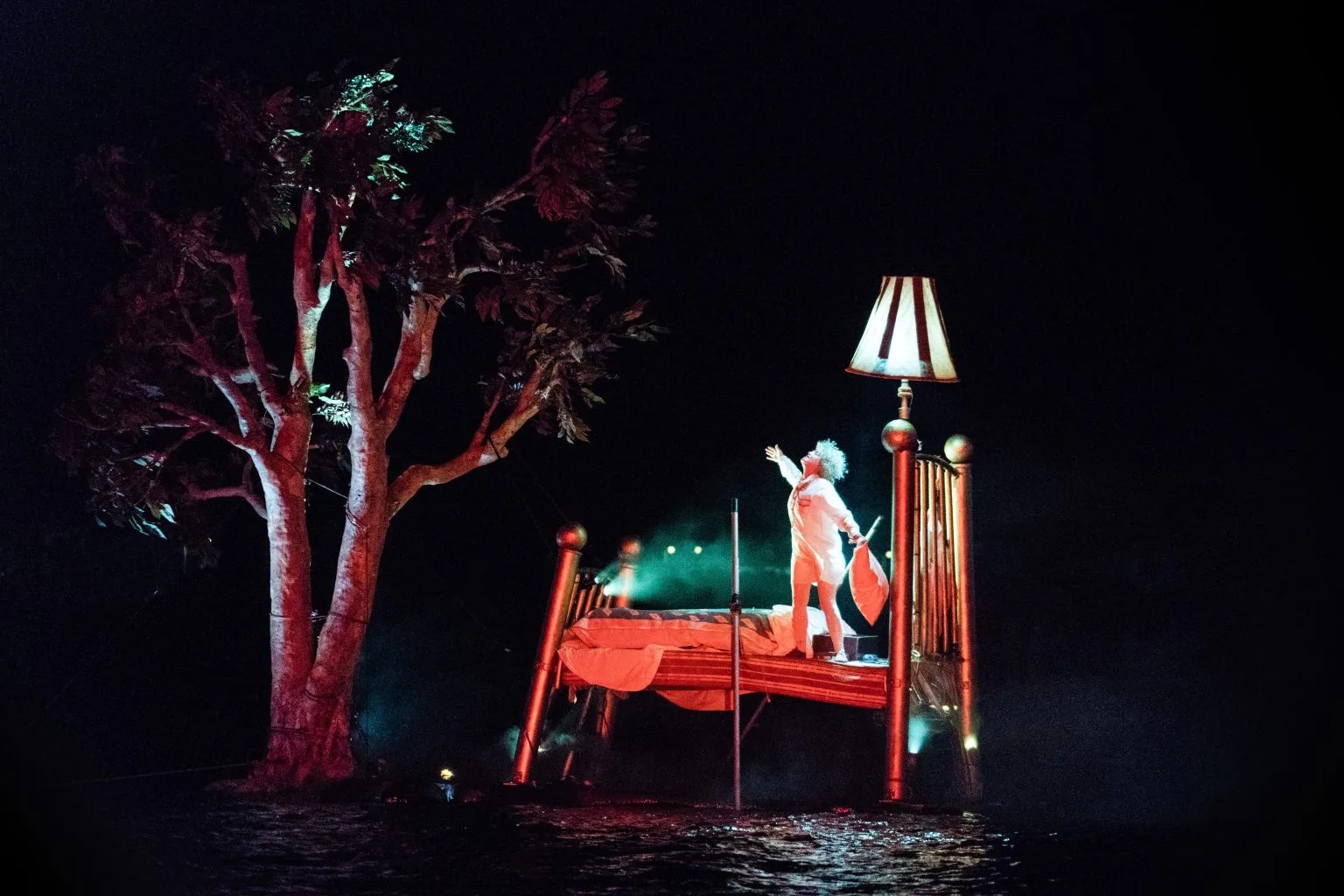 Le rêveur et l'arbre, une image du spectacle Fous de bassin de la compagnie ilotopie