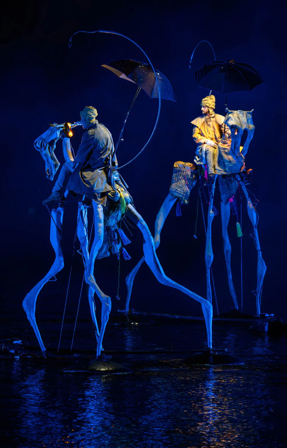 water show the extraodinary journey here the two high floating horses and their riders, on a deep night waiting.
